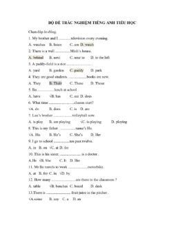bo de trac nghiem tieng anh tieu hoc 9098 pdf 2026
